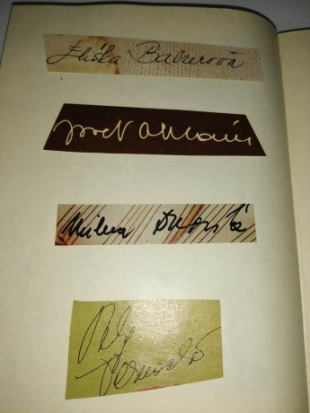 339557168_770200451101193_8187232811694842890_n