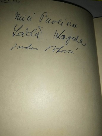 339989049_1260221964586289_3633902422479417176_n